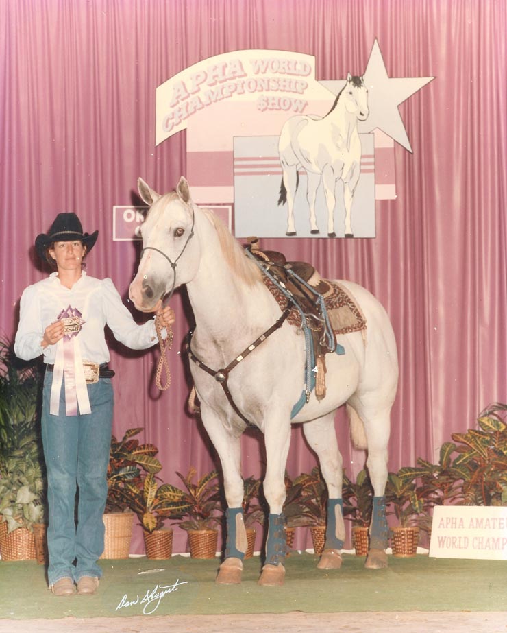 Click to return to previous page