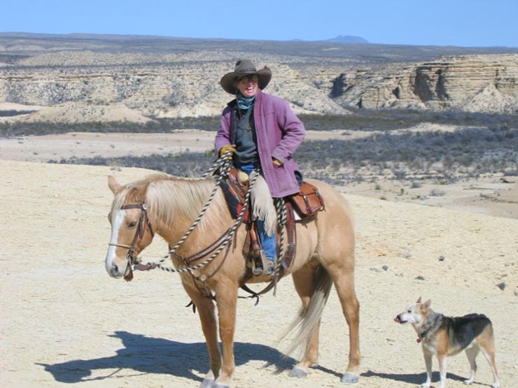 Click to return to previous page